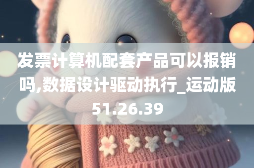 发票计算机配套产品可以报销吗,数据设计驱动执行_运动版51.26.39