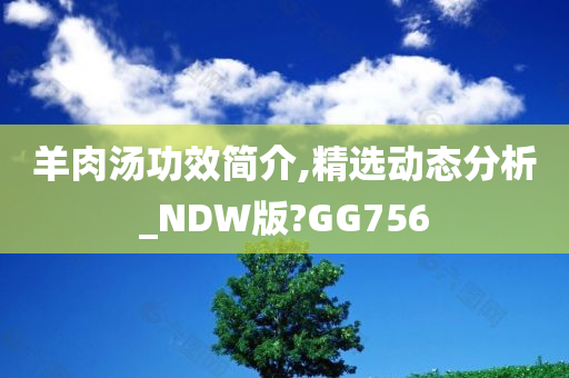 羊肉汤功效简介,精选动态分析_NDW版?GG756