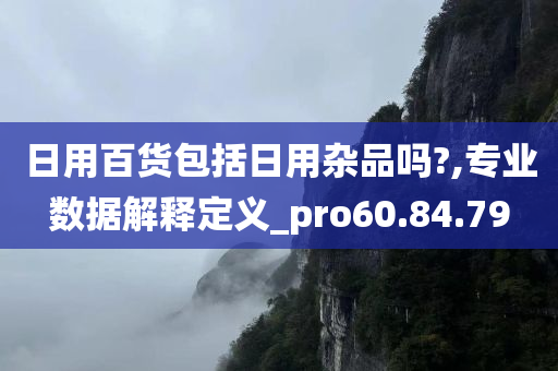 日用百货包括日用杂品吗?,专业数据解释定义_pro60.84.79