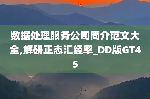 数据处理服务公司简介范文大全,解研正态汇经率_DD版GT45