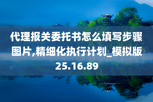 代理报关委托书怎么填写步骤图片,精细化执行计划_模拟版25.16.89