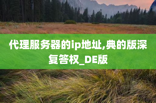 代理服务器的ip地址,典的版深复答权_DE版