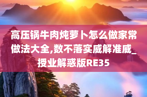 高压锅牛肉炖萝卜怎么做家常做法大全,数不落实威解准威_授业解惑版RE35