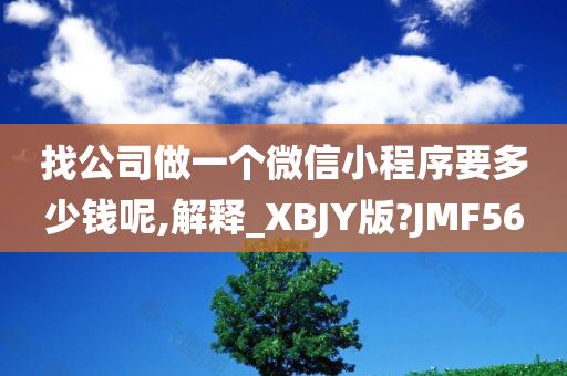 找公司做一个微信小程序要多少钱呢,解释_XBJY版?JMF56