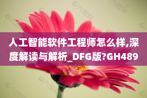 人工智能软件工程师怎么样,深度解读与解析_DFG版?GH489