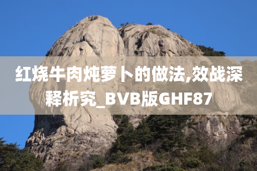 红烧牛肉炖萝卜的做法,效战深释析究_BVB版GHF87