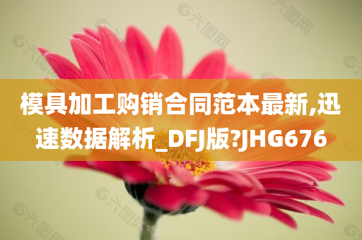 模具加工购销合同范本最新,迅速数据解析_DFJ版?JHG676