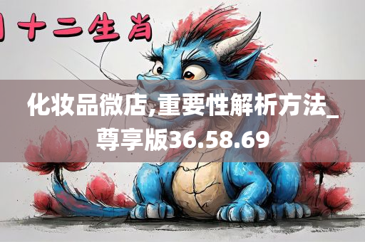 化妆品微店,重要性解析方法_尊享版36.58.69