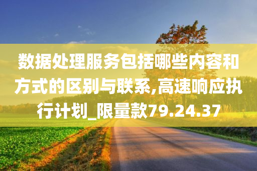 数据处理服务包括哪些内容和方式的区别与联系,高速响应执行计划_限量款79.24.37