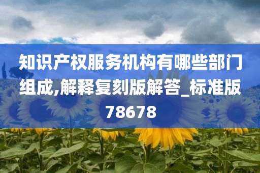 知识产权服务机构有哪些部门组成,解释复刻版解答_标准版78678