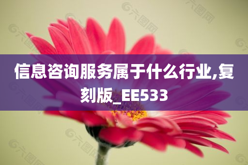 信息咨询服务属于什么行业,复刻版_EE533