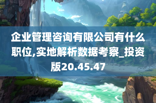 企业管理咨询有限公司有什么职位,实地解析数据考察_投资版20.45.47