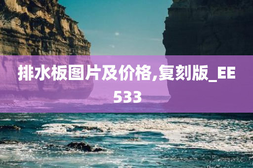 排水板图片及价格,复刻版_EE533