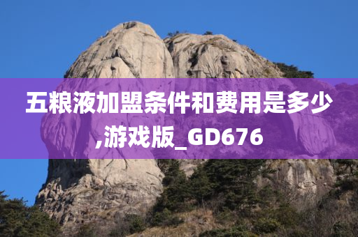 五粮液加盟条件和费用是多少,游戏版_GD676