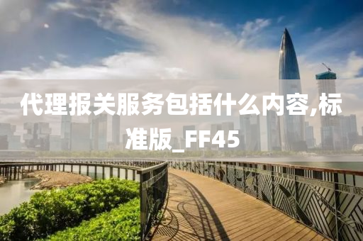 代理报关服务包括什么内容,标准版_FF45