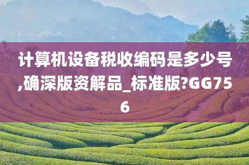 计算机设备税收编码是多少号,确深版资解品_标准版?GG756