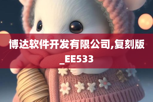 博达软件开发有限公司,复刻版_EE533