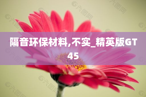 隔音环保材料,不实_精英版GT45