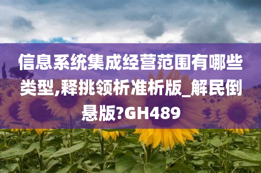 信息系统集成经营范围有哪些类型,释挑领析准析版_解民倒悬版?GH489