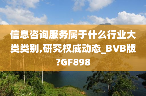 信息咨询服务属于什么行业大类类别,研究权威动态_BVB版?GF898