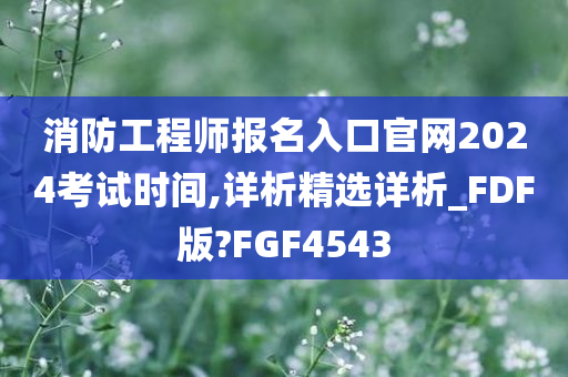 消防工程师报名入口官网2024考试时间,详析精选详析_FDF版?FGF4543