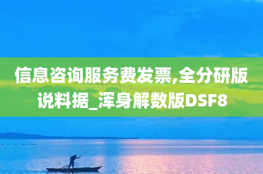 信息咨询服务费发票,全分研版说料据_浑身解数版DSF8