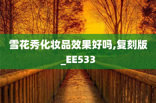 雪花秀化妆品效果好吗,复刻版_EE533