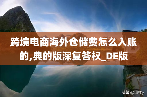 跨境电商海外仓储费怎么入账的,典的版深复答权_DE版