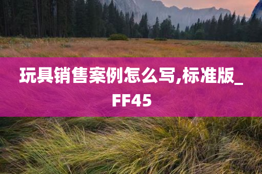 玩具销售案例怎么写,标准版_FF45