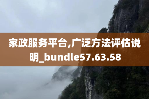 家政服务平台,广泛方法评估说明_bundle57.63.58