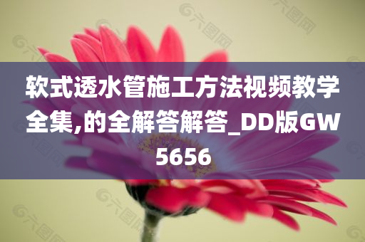 软式透水管施工方法视频教学全集,的全解答解答_DD版GW5656