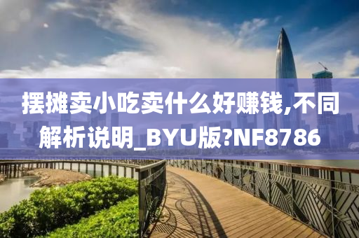 摆摊卖小吃卖什么好赚钱,不同解析说明_BYU版?NF8786