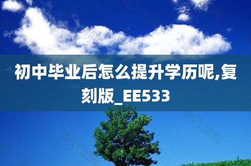 初中毕业后怎么提升学历呢,复刻版_EE533