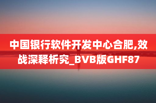 中国银行软件开发中心合肥,效战深释析究_BVB版GHF87