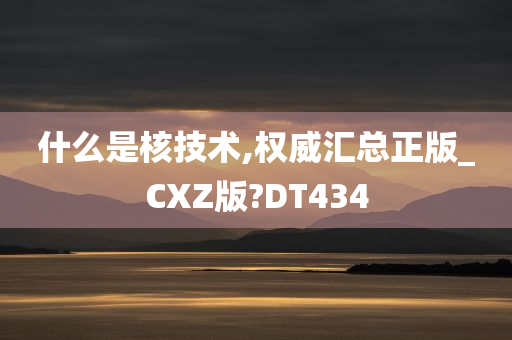 什么是核技术,权威汇总正版_CXZ版?DT434