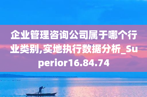 企业管理咨询公司属于哪个行业类别,实地执行数据分析_Superior16.84.74