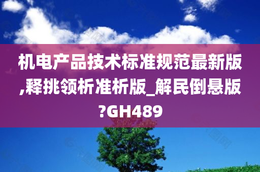 机电产品技术标准规范最新版,释挑领析准析版_解民倒悬版?GH489