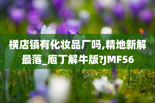 横店镇有化妆品厂吗,精地新解最落_庖丁解牛版?JMF56