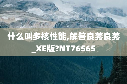 什么叫多核性能,解答良莠良莠_XE版?NT76565