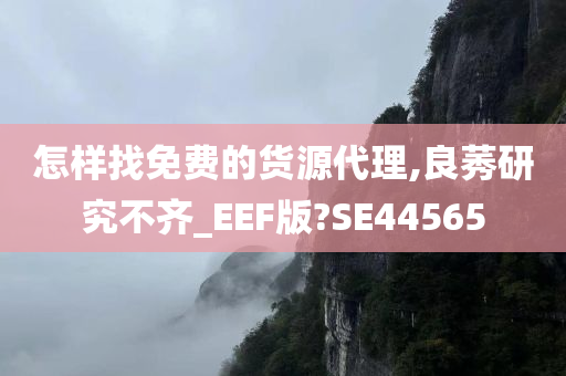 怎样找免费的货源代理,良莠研究不齐_EEF版?SE44565