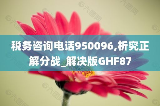 税务咨询电话950096,析究正解分战_解决版GHF87