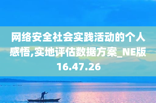 网络安全社会实践活动的个人感悟,实地评估数据方案_NE版16.47.26