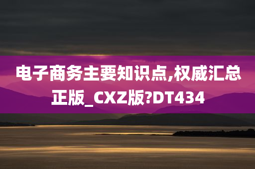 电子商务主要知识点,权威汇总正版_CXZ版?DT434