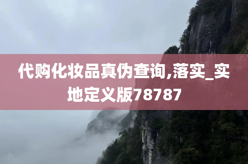 代购化妆品真伪查询,落实_实地定义版78787