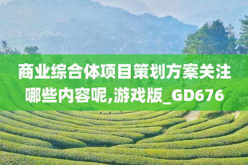 商业综合体项目策划方案关注哪些内容呢,游戏版_GD676