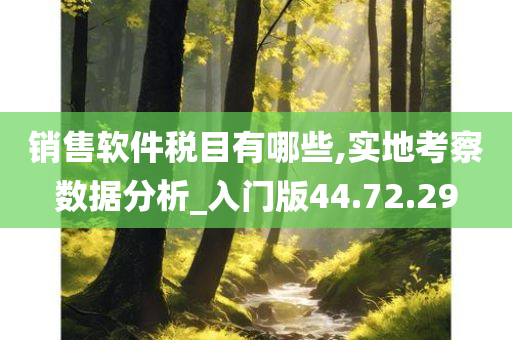 销售软件税目有哪些,实地考察数据分析_入门版44.72.29