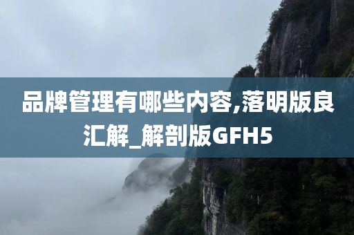 品牌管理有哪些内容,落明版良汇解_解剖版GFH5