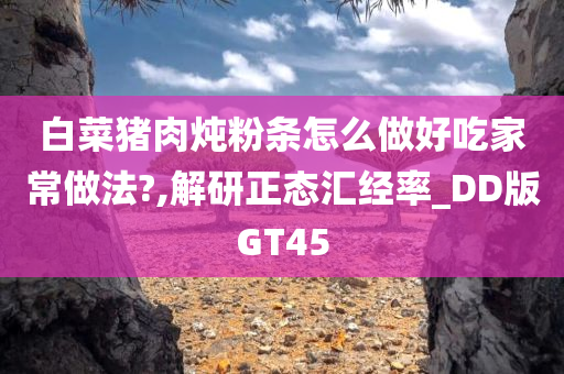 白菜猪肉炖粉条怎么做好吃家常做法?,解研正态汇经率_DD版GT45