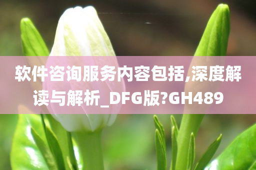 软件咨询服务内容包括,深度解读与解析_DFG版?GH489