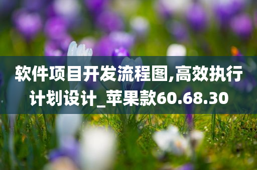 软件项目开发流程图,高效执行计划设计_苹果款60.68.30